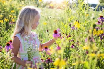 buske med vita blommor